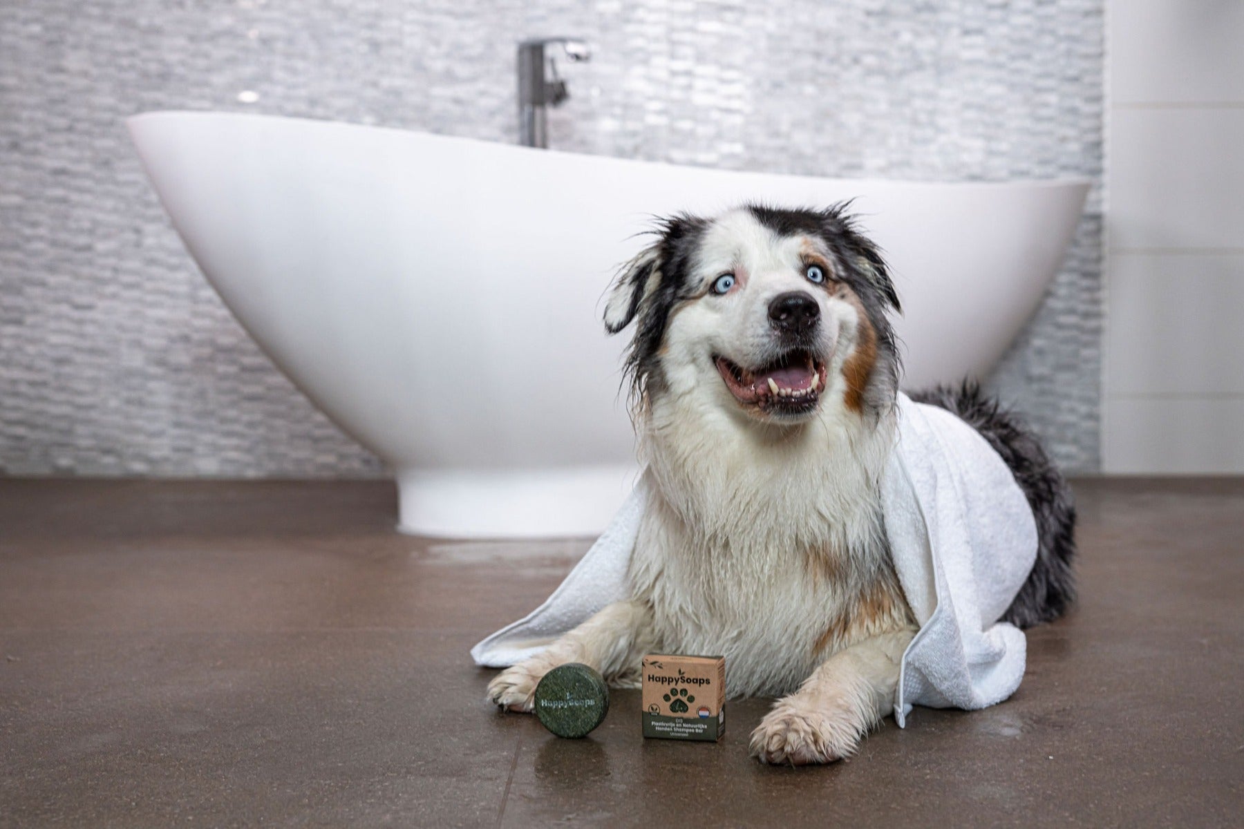 Honden Shampoo Bars
