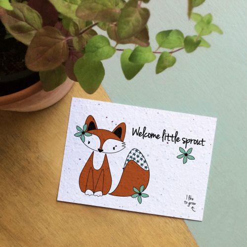 Bloeikaarten met een Wilde Bloemen-Zaadmix, fox little sprout