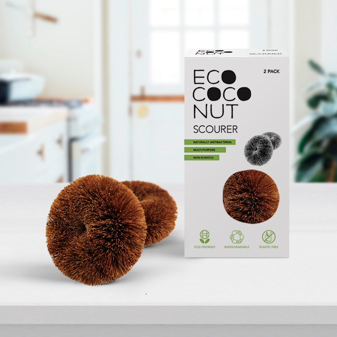 Ecococonut sponges