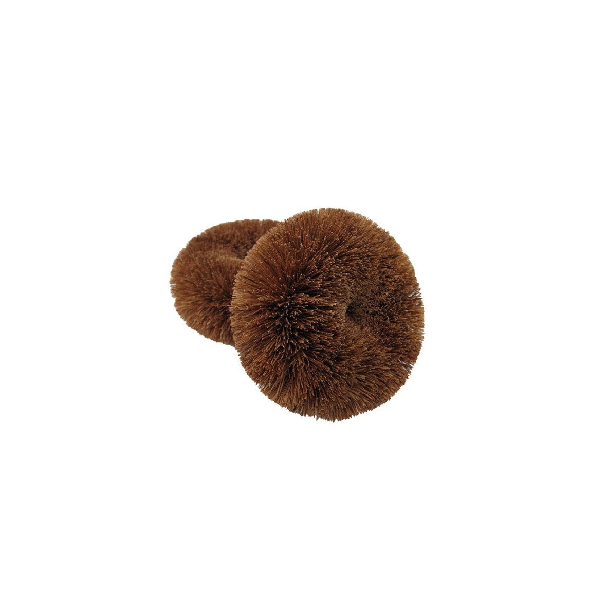 Ecococonut sponges