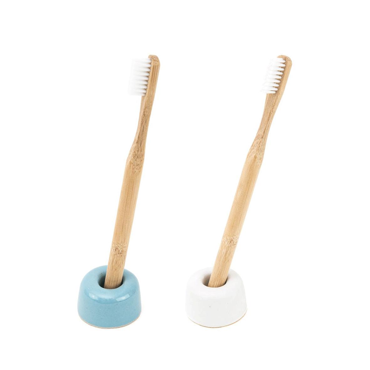 Hydrophil Toothbrush Holder Blue and White