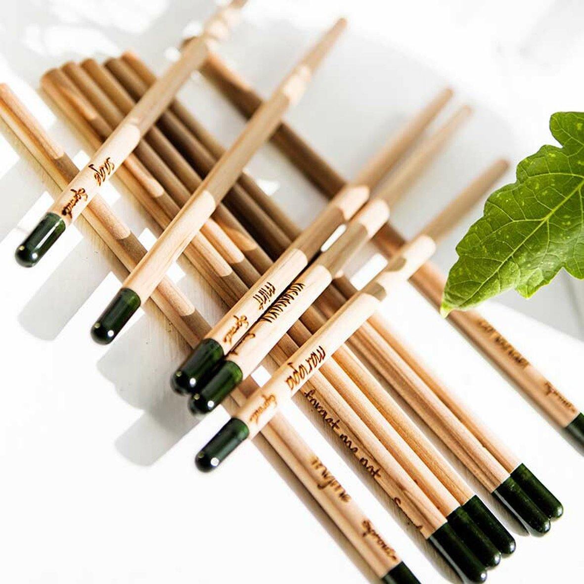 Sprout BloomYourMessage Growing Pencils