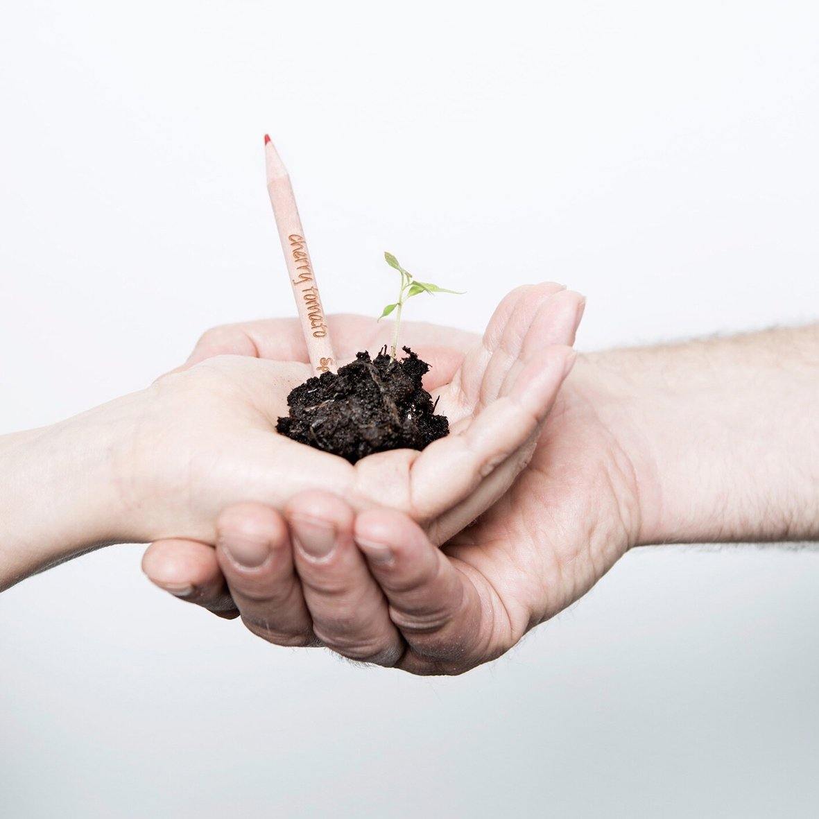 Sprout BloomYourMessage Growing Pencil in Hand Display