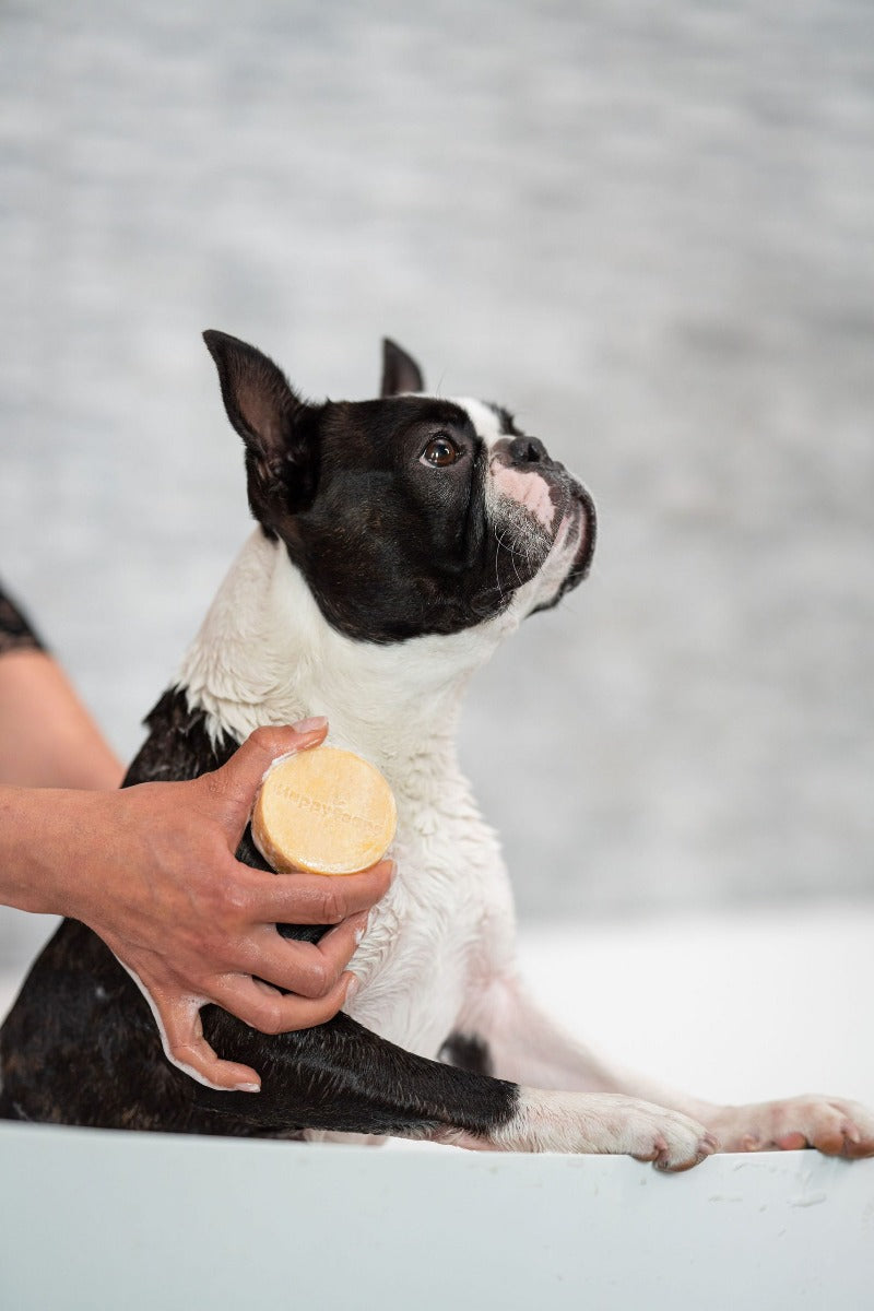 Shampoo-Riegel für Hunde