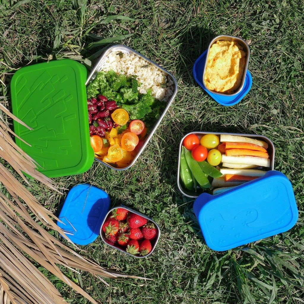 EcoLunchbox Splash Box Pod Collection Picnic 