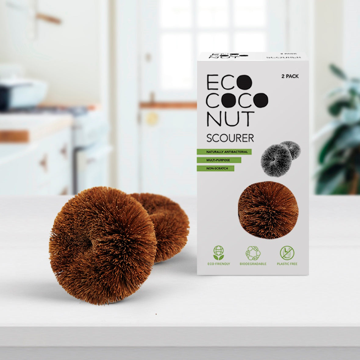 Ecococonut sponges 