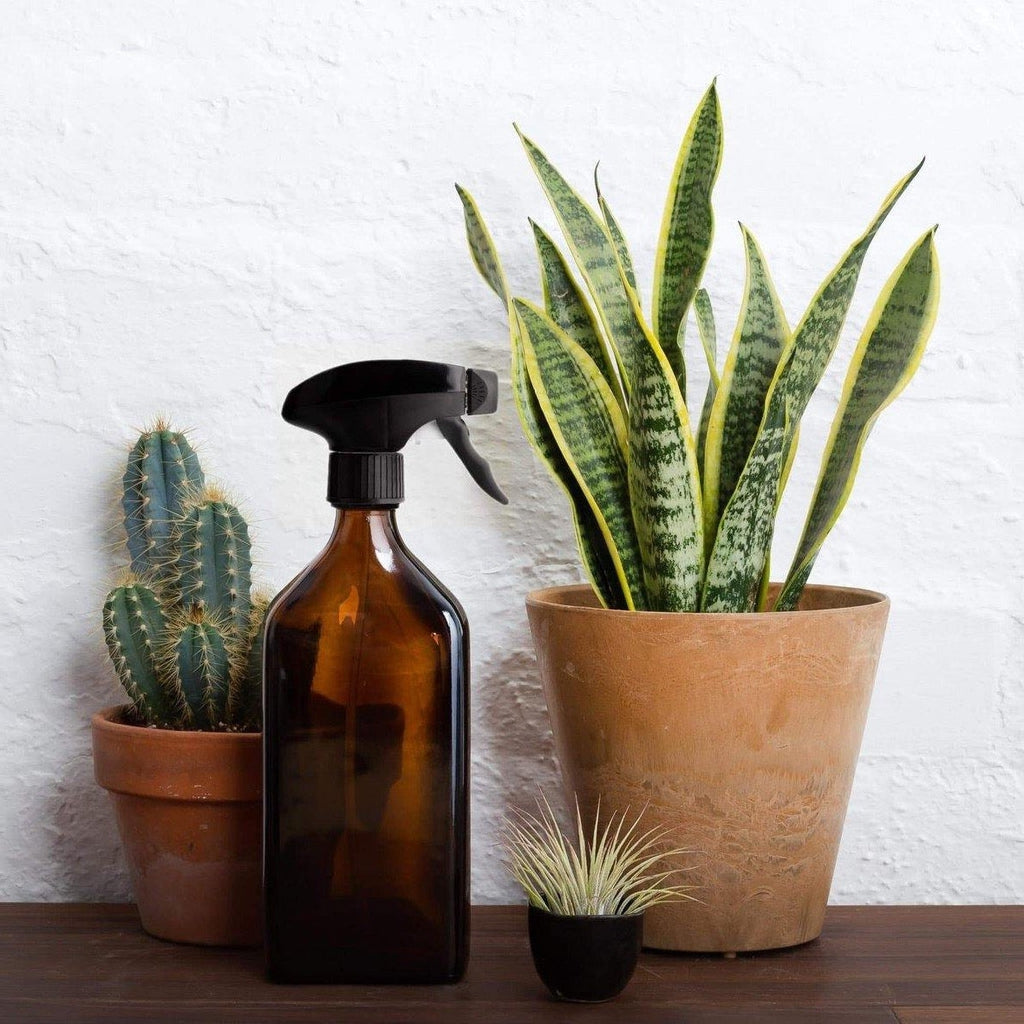 Kuishi Rectangle Amber Glass Spray Bottle Black Trigger With Plants