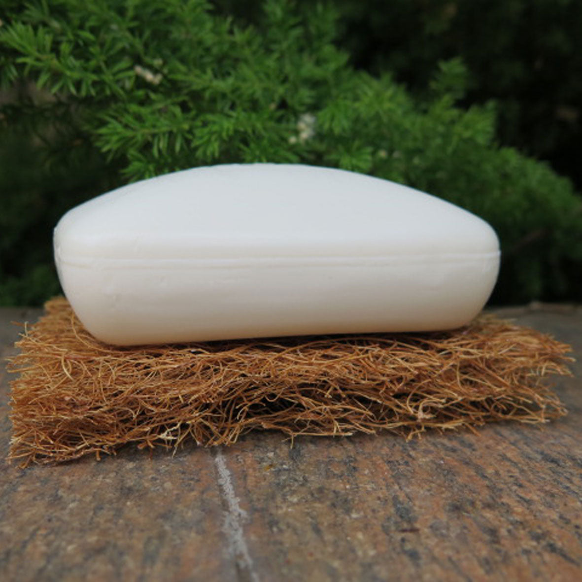 Safix Coconut Fiber Soap Holder