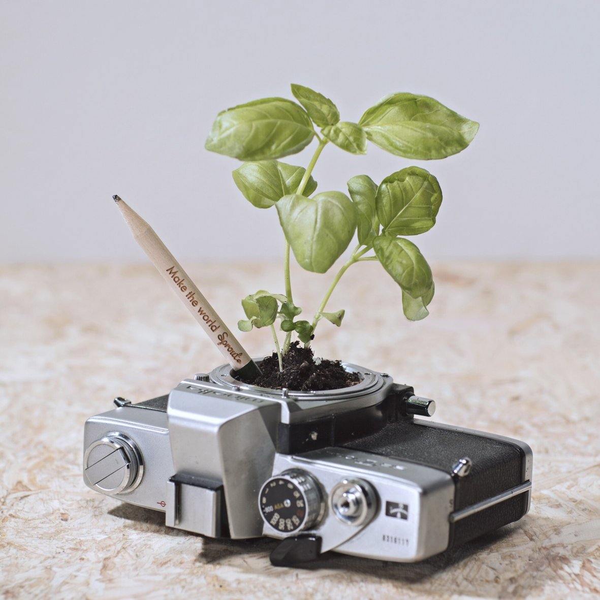 Sprout BloomYourMessage Growing Pencil in Camera display