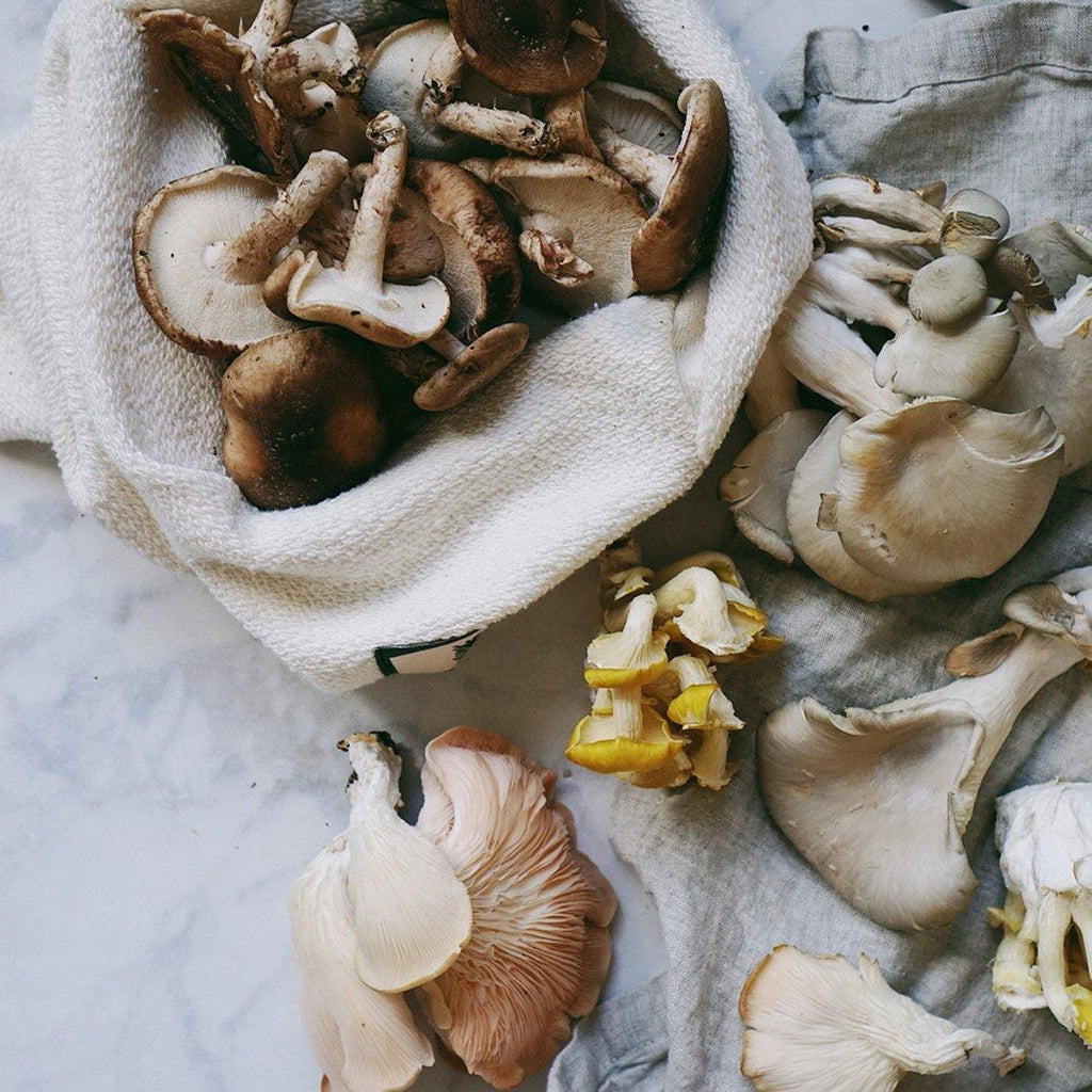 Vejibag with mushrooms display