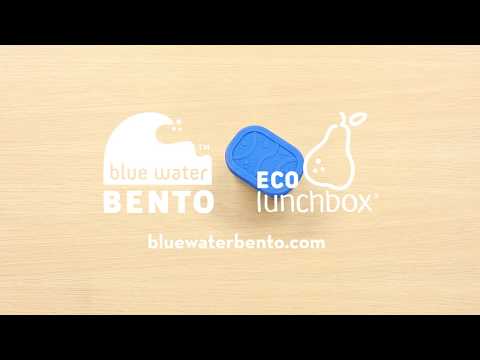 ECOlunchbox Splash Pod